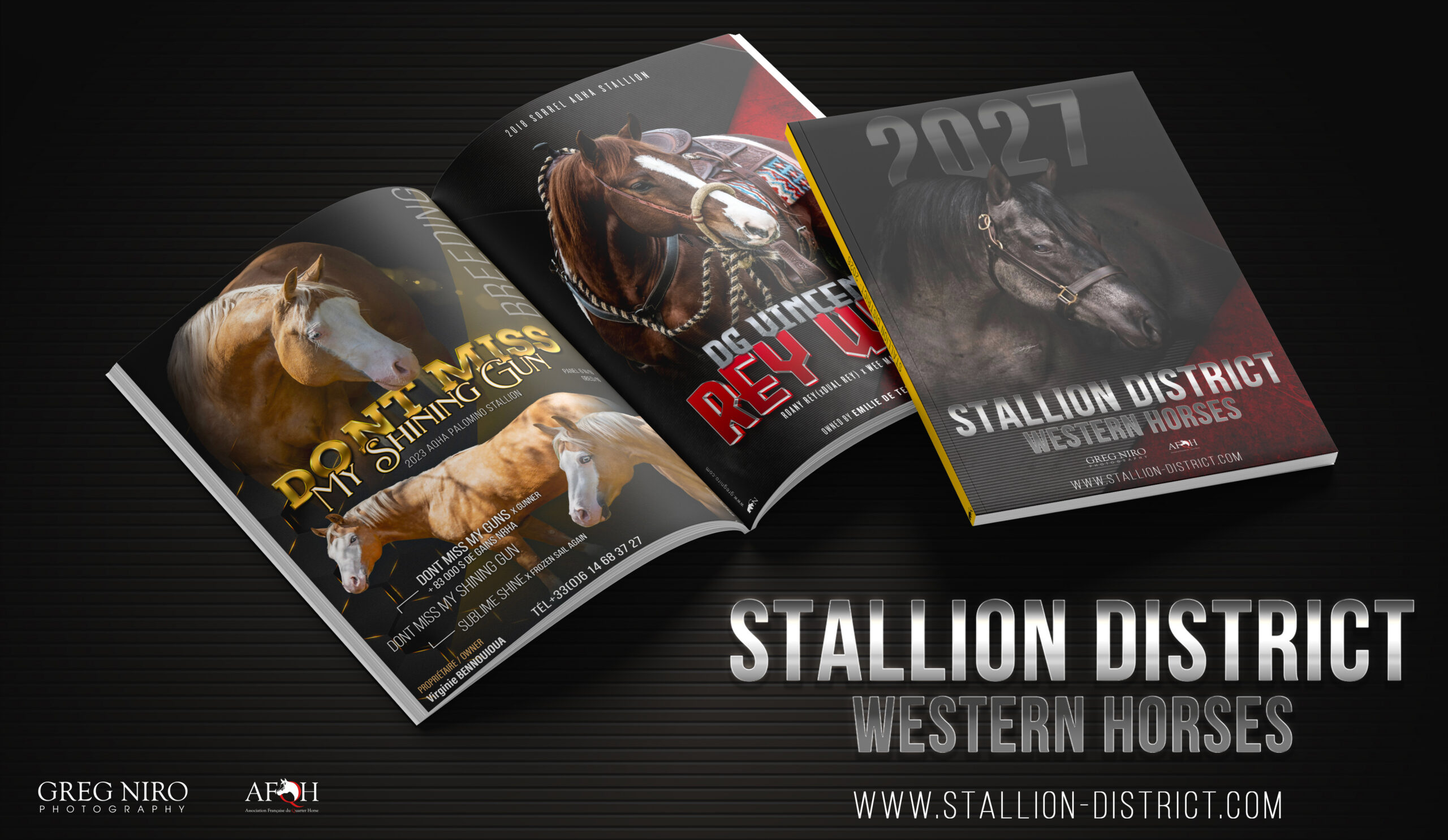 ETALONS QUARTER HORSES